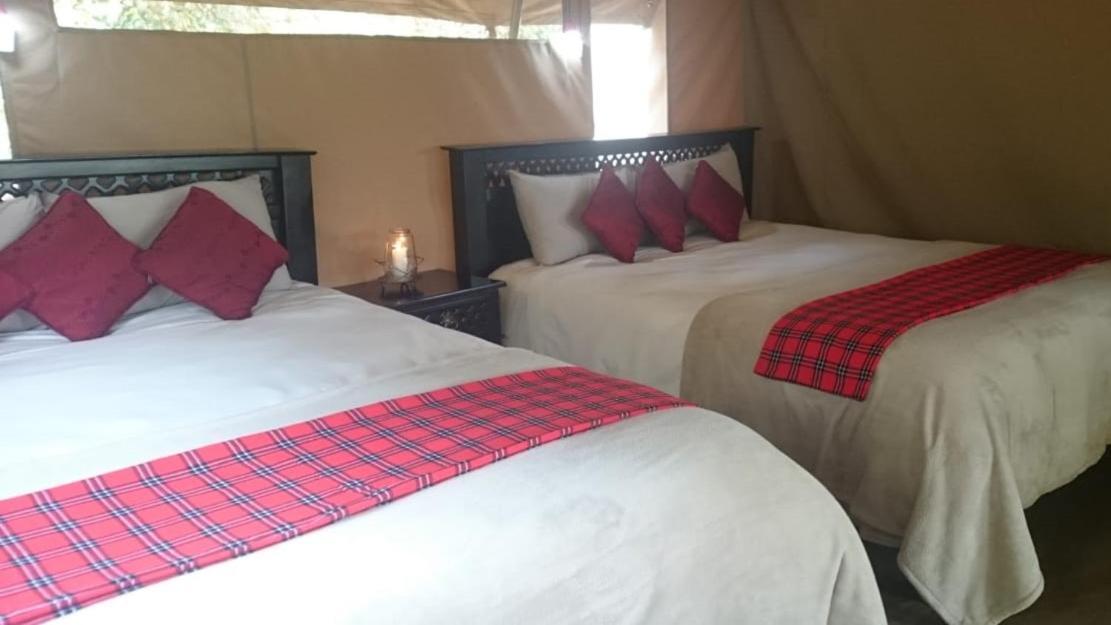 Hammerkop Migration Camp Bed and Breakfast Maasai Mara Esterno foto