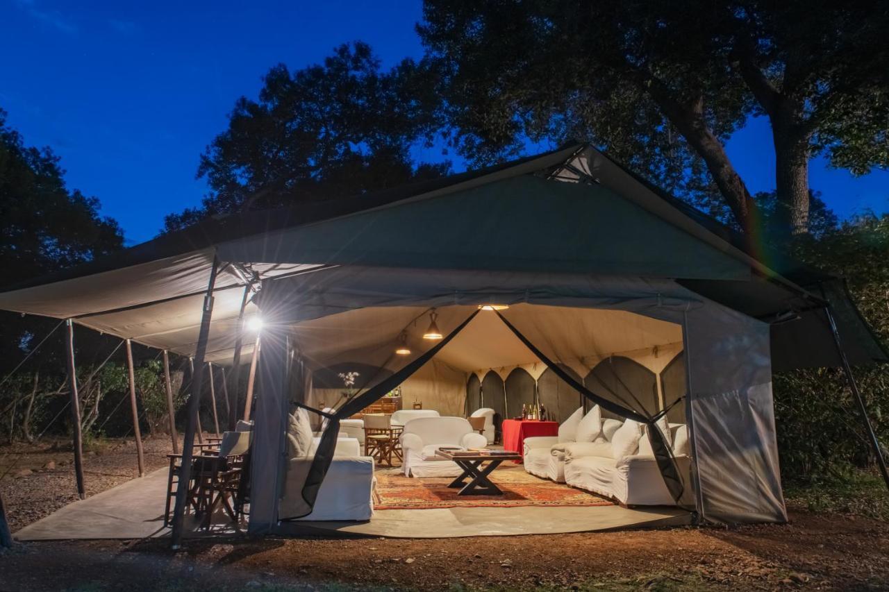 Hammerkop Migration Camp Bed and Breakfast Maasai Mara Esterno foto