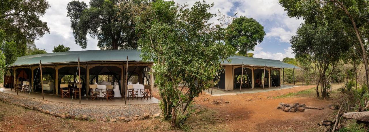Hammerkop Migration Camp Bed and Breakfast Maasai Mara Esterno foto