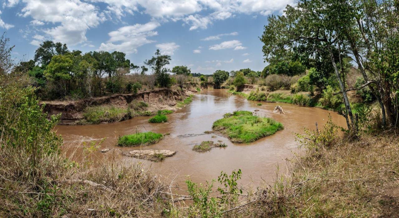 Hammerkop Migration Camp Bed and Breakfast Maasai Mara Esterno foto