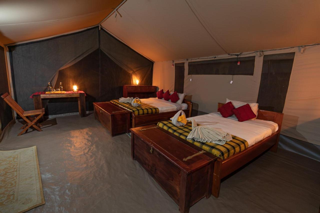 Hammerkop Migration Camp Bed and Breakfast Maasai Mara Esterno foto